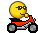 Ash48