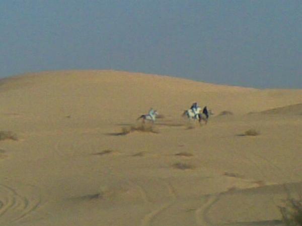 ~ ~(٠١٧)
