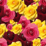 user39 pic79 1317863156 thumb