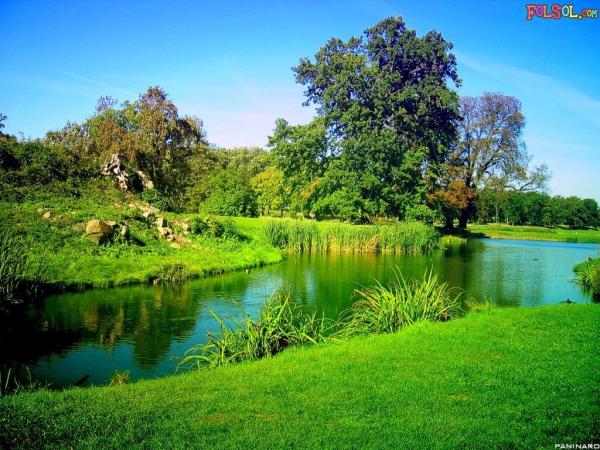 Copy of greengarden[2]