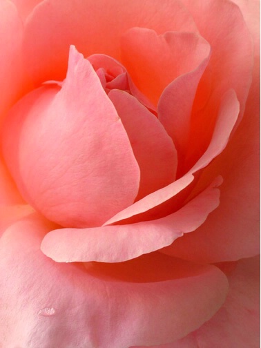 0409301602221rosalita