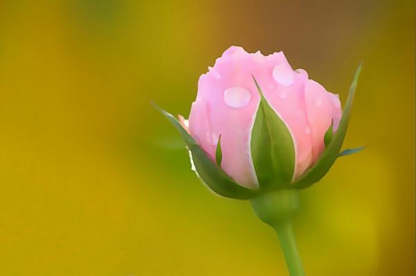 0503090126551for darren