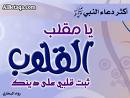 imagesCAG23BBA