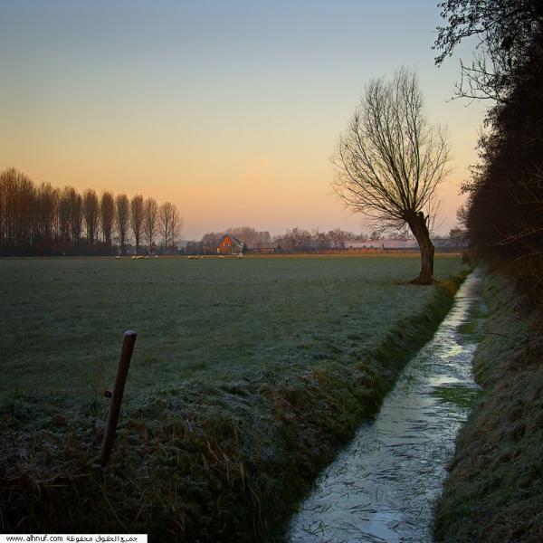 Dawn